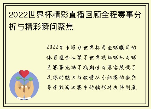 2022世界杯精彩直播回顾全程赛事分析与精彩瞬间聚焦